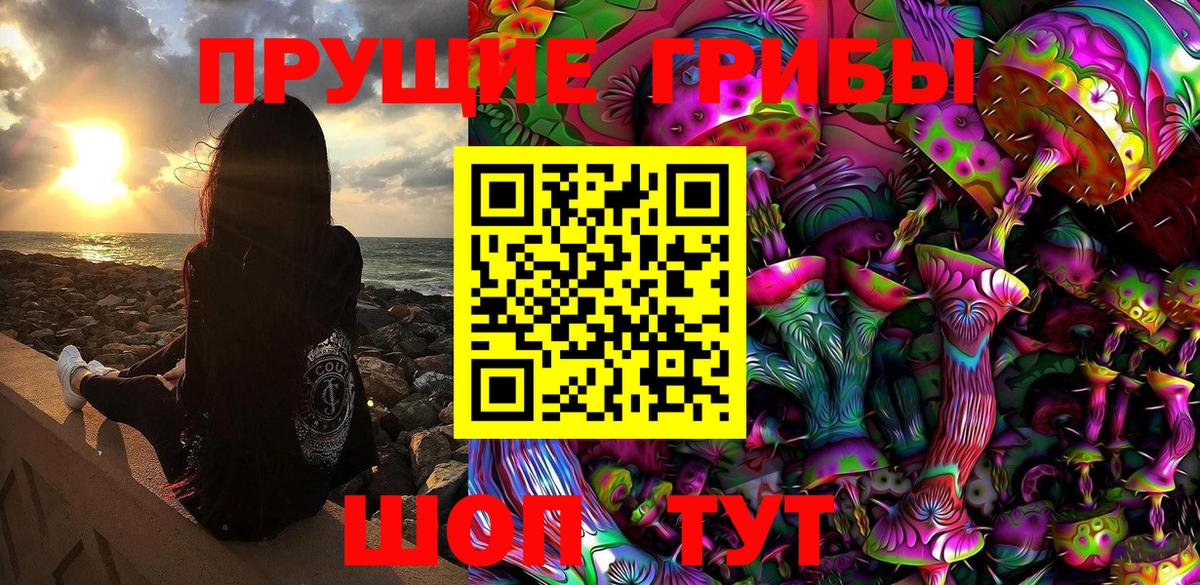 Галлюциногенные грибы Psilocybine cubensis  Вход с VPN  Муравленко 
